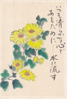 菊の花.jpg